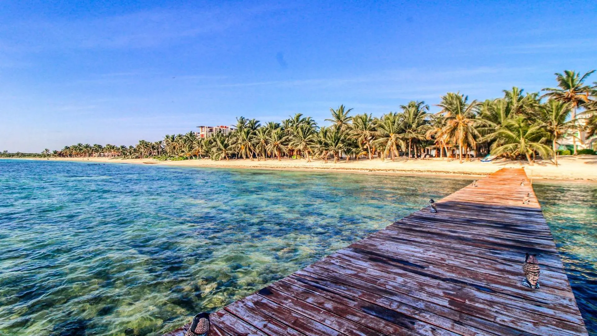 Villa Tankah 7 Cielo Tulum